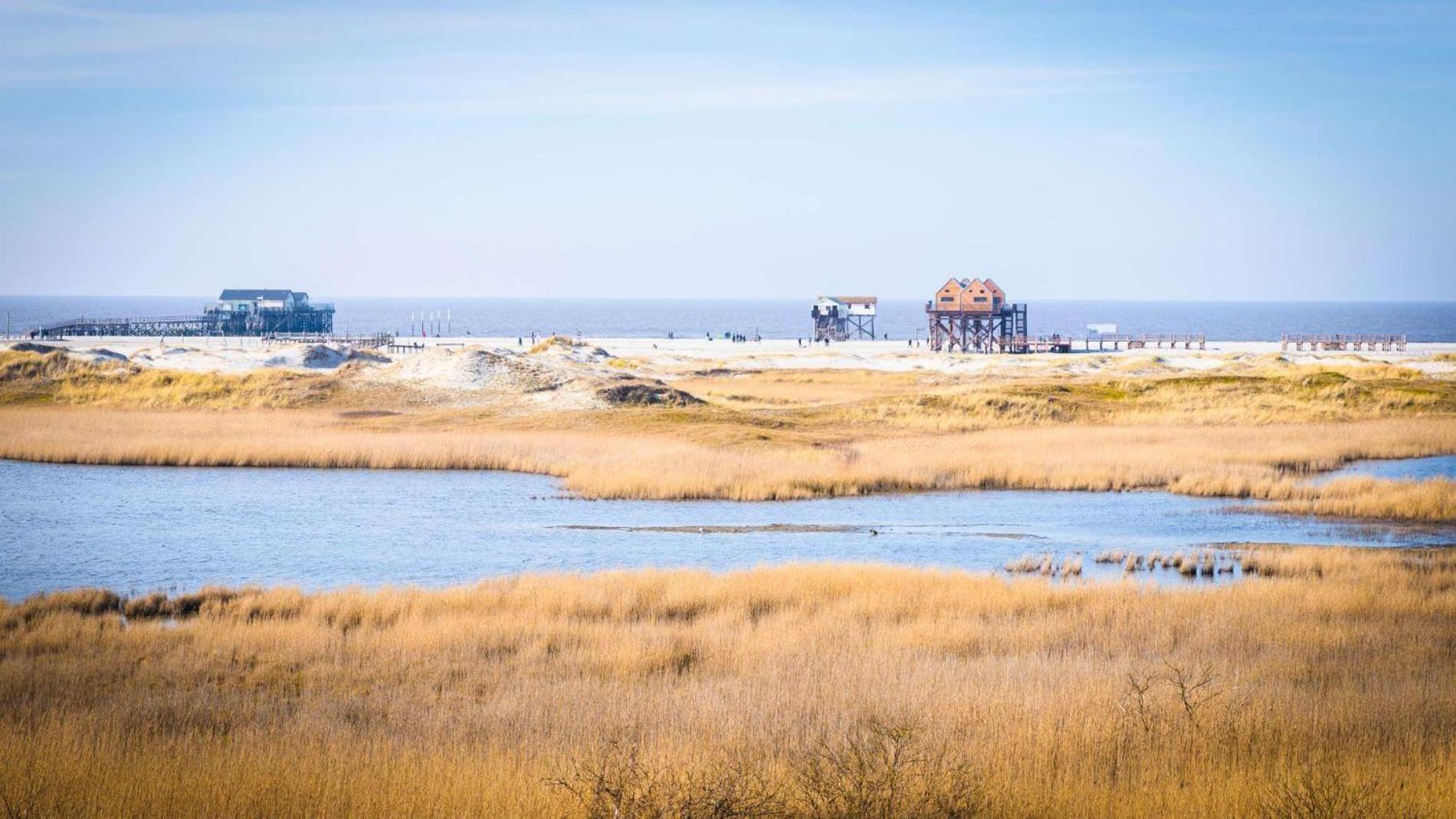 Fewo-Nordsee-Whg-11 Sankt Peter-Ording Εξωτερικό φωτογραφία